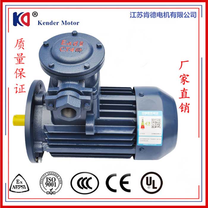 CT4 高效率隔爆型三相异步电动机