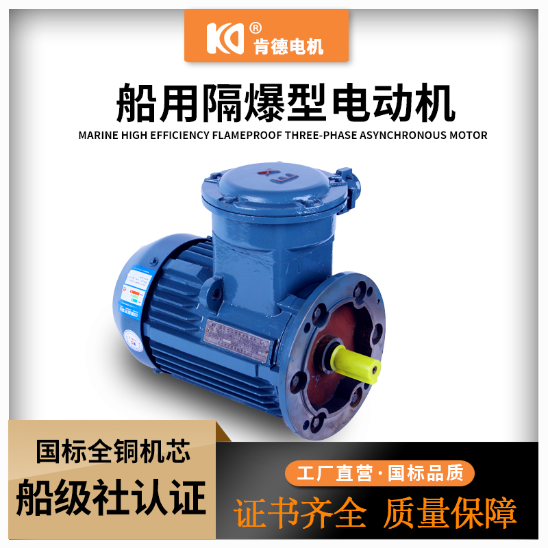船用防爆电机